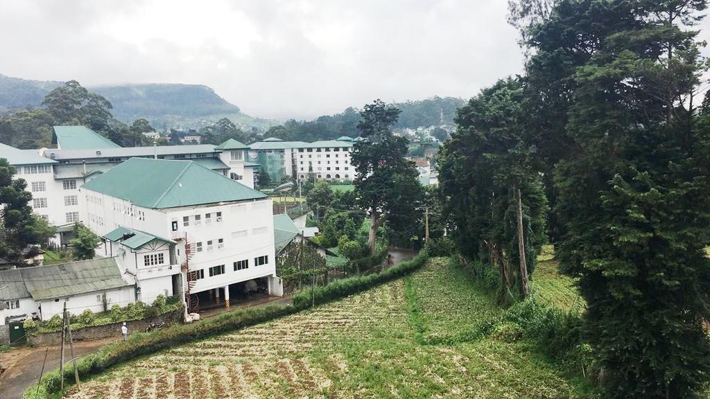 Grand View Apartments Nuwara Eliya Buitenkant foto